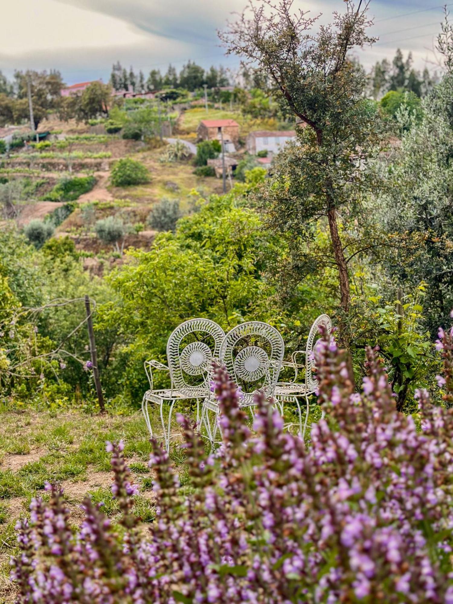 Hotel Glamping Do Ze Cernache do Bonjardim Exteriér fotografie