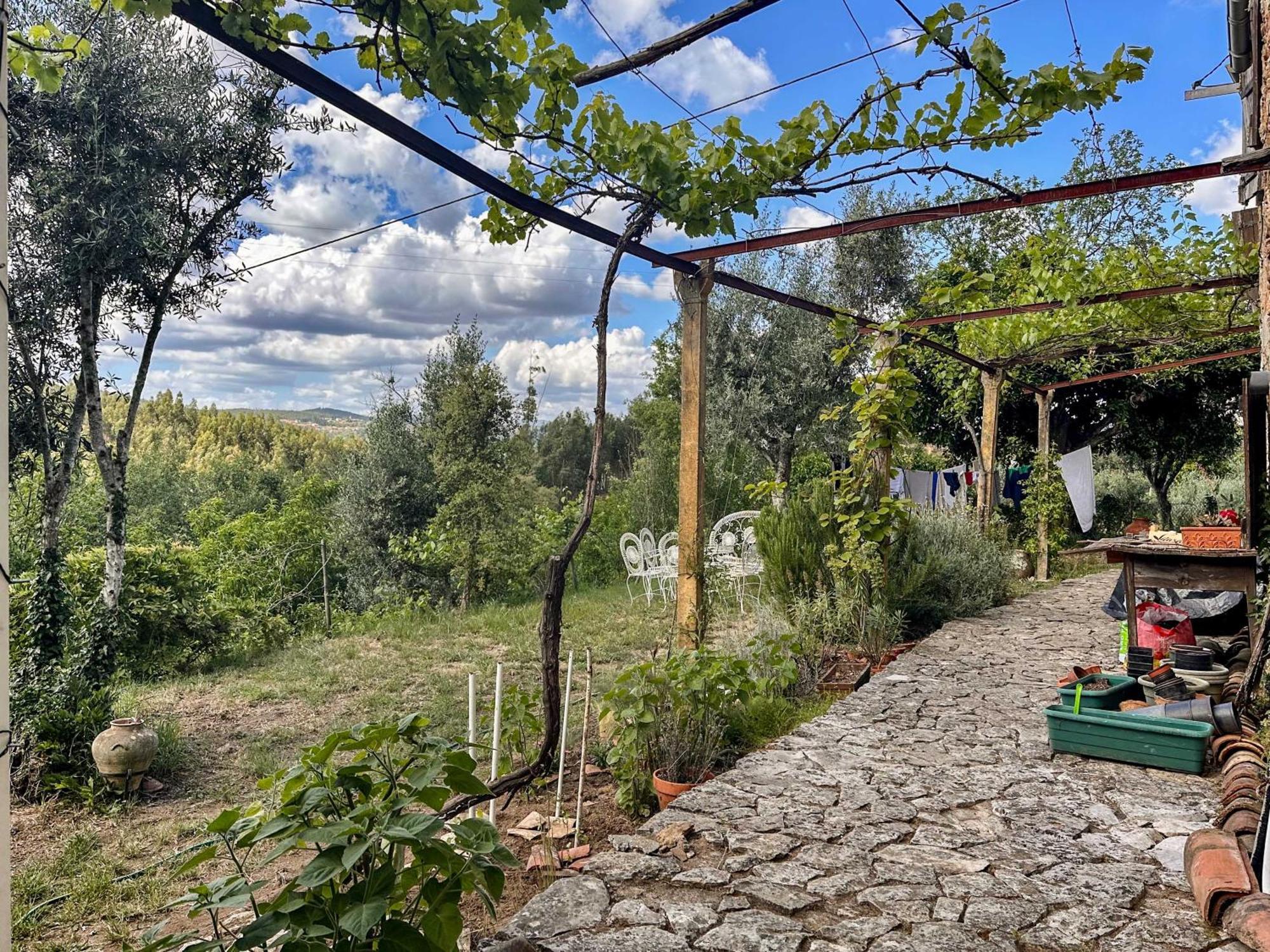 Hotel Glamping Do Ze Cernache do Bonjardim Exteriér fotografie